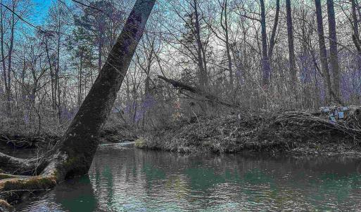 Photo #15 of TBD CARTER RD, SCHUYLER, VA 21.0 acres