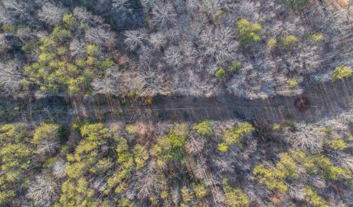 Photo #24 of TBD CARTER RD, SCHUYLER, VA 21.0 acres