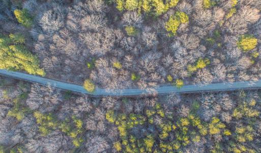 Photo #19 of TBD CARTER RD, SCHUYLER, VA 21.0 acres