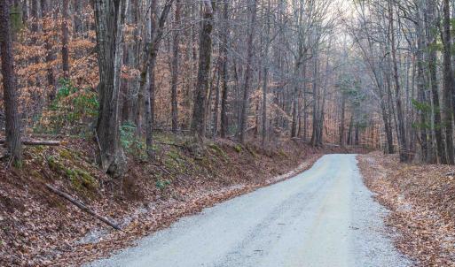 Photo #6 of TBD CARTER RD, SCHUYLER, VA 21.0 acres