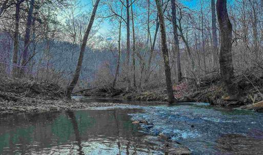 Photo #5 of TBD CARTER RD, SCHUYLER, VA 21.0 acres