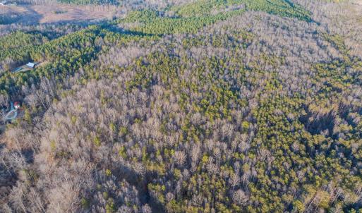 Photo #23 of TBD CARTER RD, SCHUYLER, VA 21.0 acres