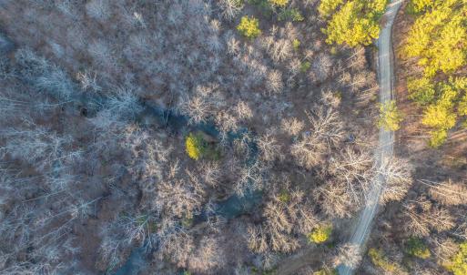 Photo #16 of TBD CARTER RD, SCHUYLER, VA 21.0 acres