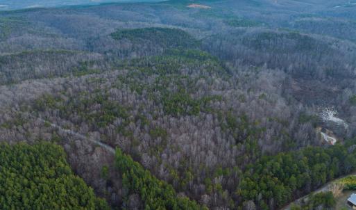 Photo #32 of TBD CARTER RD, SCHUYLER, VA 21.0 acres