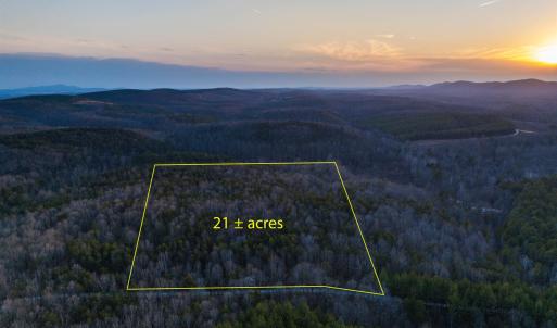 Photo #2 of TBD CARTER RD, SCHUYLER, VA 21.0 acres