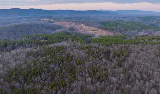 Photo #30 of TBD CARTER RD, SCHUYLER, VA 21.0 acres
