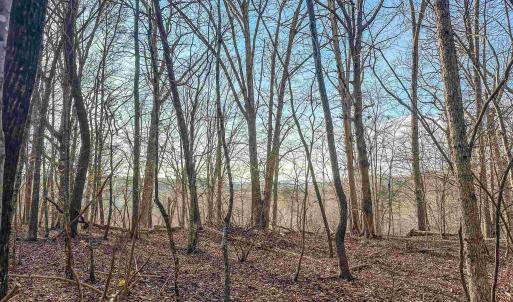 Photo #10 of TBD CARTER RD, SCHUYLER, VA 21.0 acres