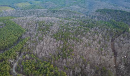 Photo #34 of TBD CARTER RD, SCHUYLER, VA 21.0 acres