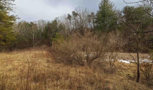 Photo #11 of 577 HAMMOND LN, STAUNTON, VA 42.6 acres