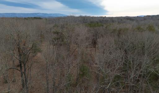 Photo #50 of 577 HAMMOND LN, STAUNTON, VA 42.6 acres
