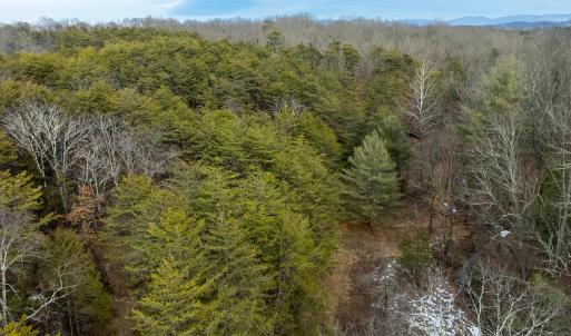 Photo #41 of 577 HAMMOND LN, STAUNTON, VA 42.6 acres