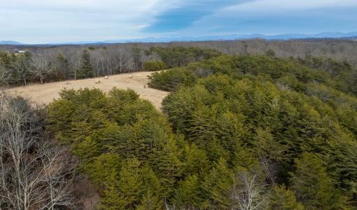 Photo #37 of 577 HAMMOND LN, STAUNTON, VA 42.6 acres