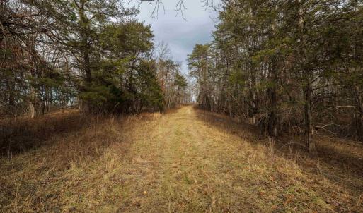 Photo #20 of 577 HAMMOND LN, STAUNTON, VA 42.6 acres