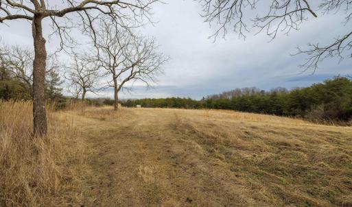 Photo #5 of 577 HAMMOND LN, STAUNTON, VA 42.6 acres