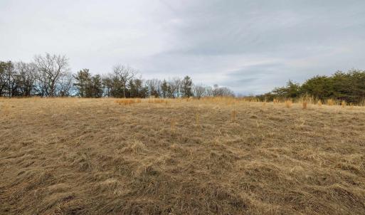 Photo #6 of 577 HAMMOND LN, STAUNTON, VA 42.6 acres