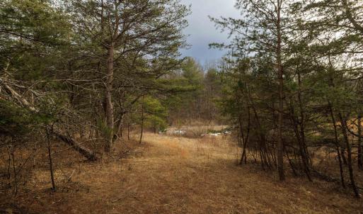 Photo #10 of 577 HAMMOND LN, STAUNTON, VA 42.6 acres