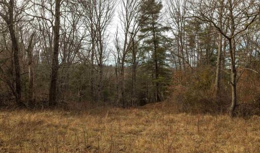 Photo #19 of 577 HAMMOND LN, STAUNTON, VA 42.6 acres