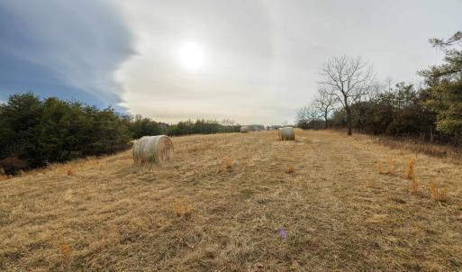 Photo #16 of 577 HAMMOND LN, STAUNTON, VA 42.6 acres