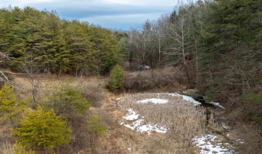 Photo #3 of 577 HAMMOND LN, STAUNTON, VA 42.6 acres