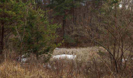 Photo #12 of 577 HAMMOND LN, STAUNTON, VA 42.6 acres