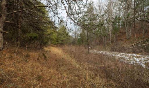 Photo #14 of 577 HAMMOND LN, STAUNTON, VA 42.6 acres