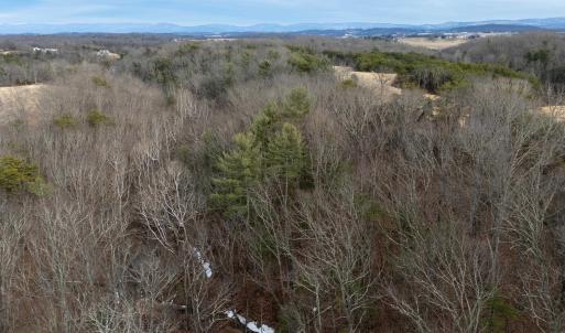 Photo #33 of 577 HAMMOND LN, STAUNTON, VA 42.6 acres
