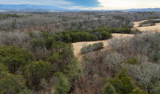 Photo #38 of 577 HAMMOND LN, STAUNTON, VA 42.6 acres
