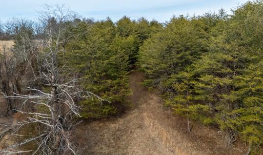 Photo #42 of 577 HAMMOND LN, STAUNTON, VA 42.6 acres