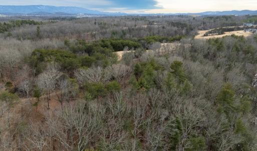 Photo #39 of 577 HAMMOND LN, STAUNTON, VA 42.6 acres