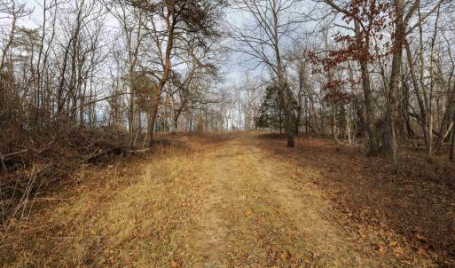 Photo #21 of 577 HAMMOND LN, STAUNTON, VA 42.6 acres
