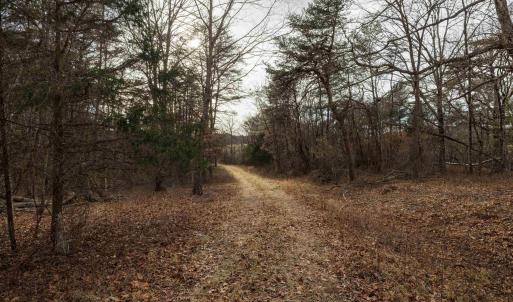 Photo #25 of 577 HAMMOND LN, STAUNTON, VA 42.6 acres