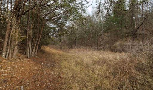 Photo #13 of 577 HAMMOND LN, STAUNTON, VA 42.6 acres