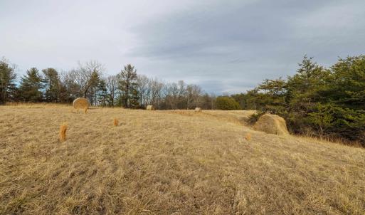 Photo #7 of 577 HAMMOND LN, STAUNTON, VA 42.6 acres