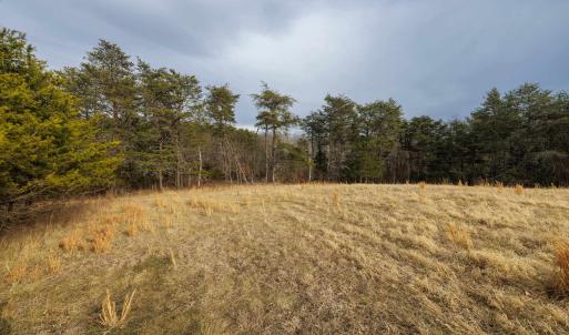 Photo #17 of 577 HAMMOND LN, STAUNTON, VA 42.6 acres