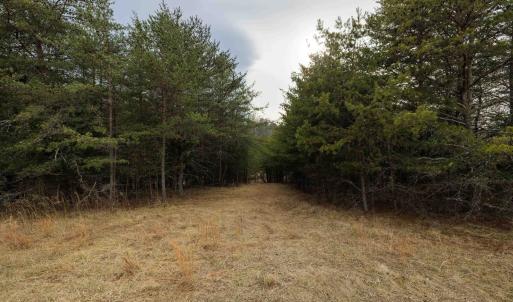 Photo #9 of 577 HAMMOND LN, STAUNTON, VA 42.6 acres