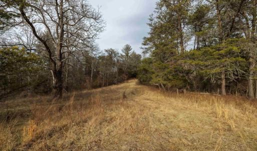 Photo #18 of 577 HAMMOND LN, STAUNTON, VA 42.6 acres