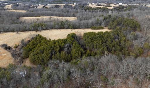 Photo #44 of 577 HAMMOND LN, STAUNTON, VA 42.6 acres