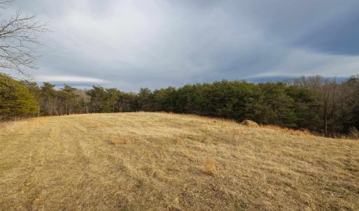 Photo #15 of 577 HAMMOND LN, STAUNTON, VA 42.6 acres