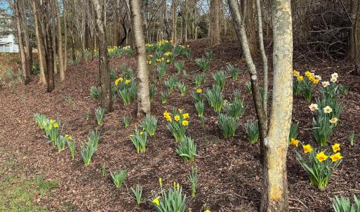 Photo #1 of TBD EDMOND DR, CROZET, VA 0.6 acres