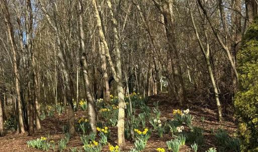 Photo #2 of TBD EDMOND DR, CROZET, VA 0.6 acres