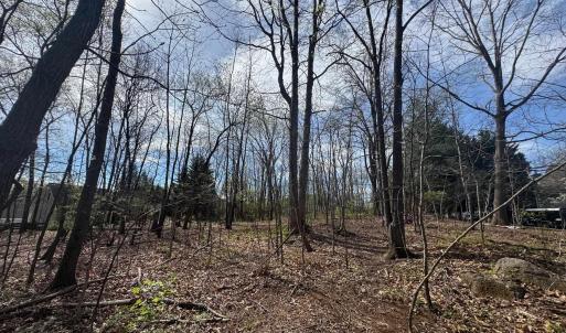 Photo #7 of TBD EDMOND DR, CROZET, VA 0.6 acres