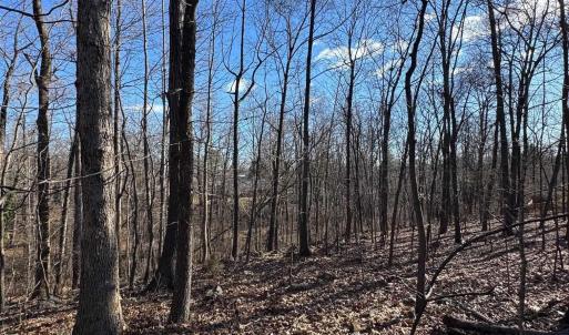 Photo #4 of TBD EDMOND DR, CROZET, VA 0.6 acres