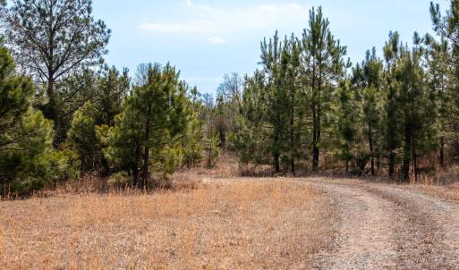 Photo #12 of CENTRAL PLAINS RD, PALMYRA, VA 35.3 acres