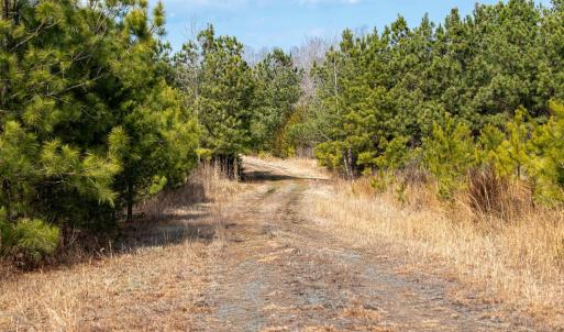 Photo #13 of CENTRAL PLAINS RD, PALMYRA, VA 35.3 acres