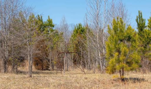 Photo #11 of CENTRAL PLAINS RD, PALMYRA, VA 35.3 acres
