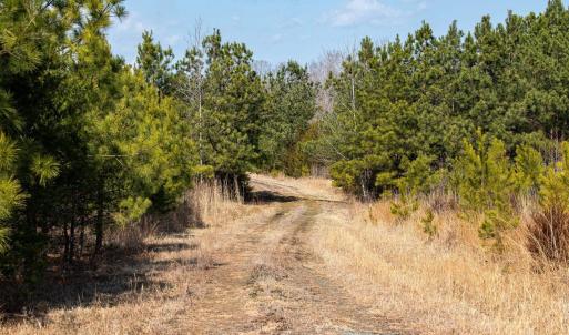 Photo #10 of CENTRAL PLAINS RD, PALMYRA, VA 35.3 acres