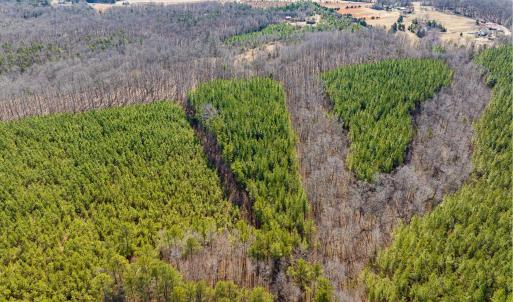 Photo #18 of CENTRAL PLAINS RD, PALMYRA, VA 35.3 acres