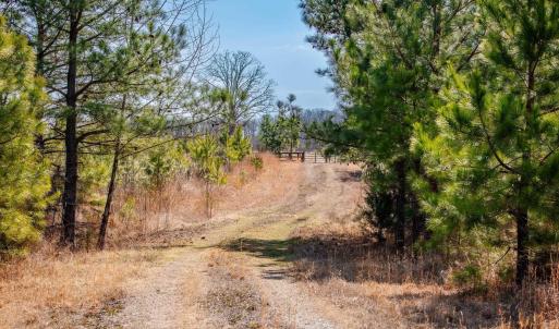 Photo #9 of CENTRAL PLAINS RD, PALMYRA, VA 35.3 acres