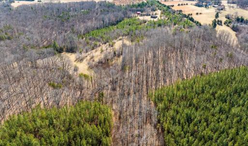 Photo #19 of CENTRAL PLAINS RD, PALMYRA, VA 35.3 acres