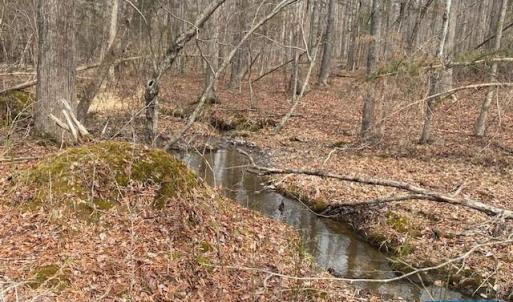 Photo #5 of CENTRAL PLAINS RD, PALMYRA, VA 35.3 acres